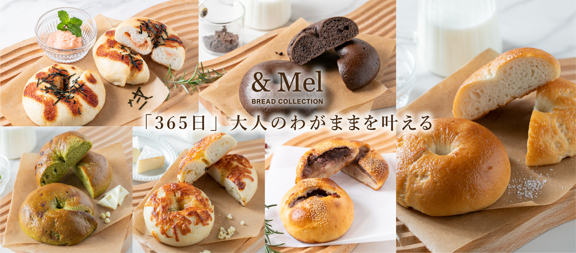 Visual 4